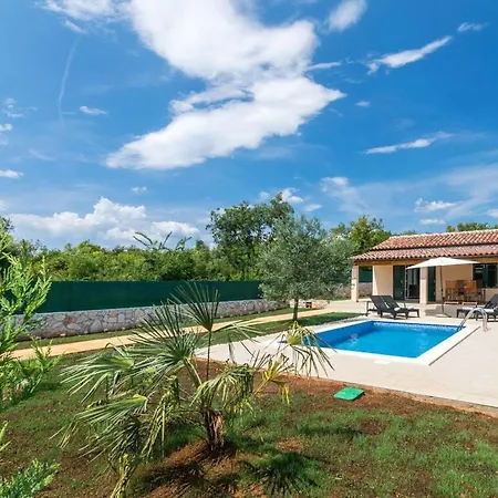 Jozefina Comfortable