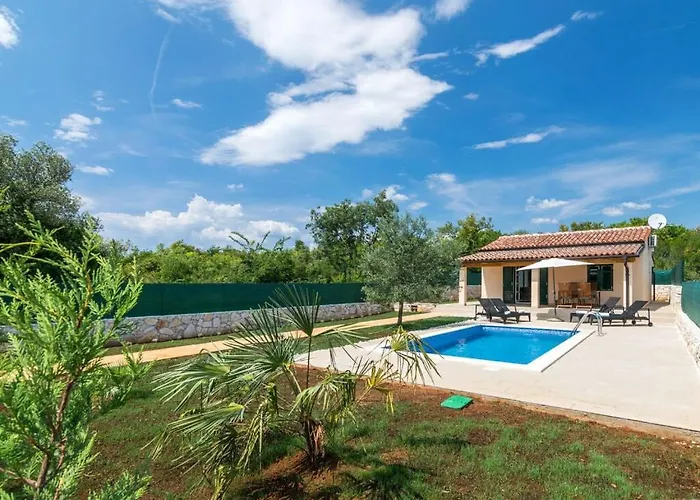 Jozefina Comfortable